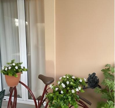 Olive Grove Family Home