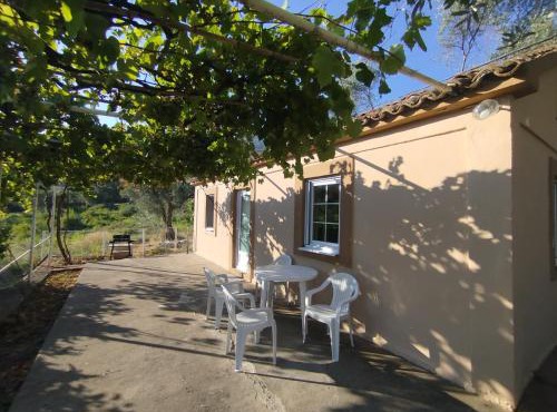 Olive House