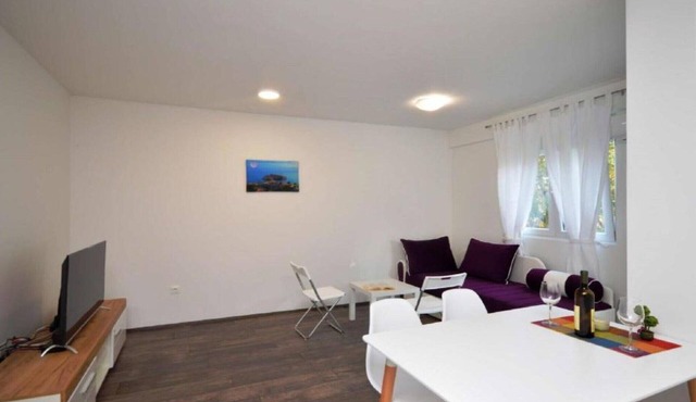 One Bedroom Apartment