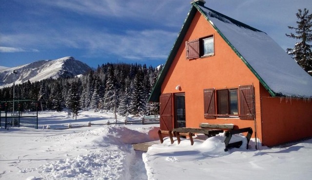 Orange House in nature
