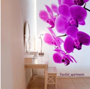 Orchid Apartments