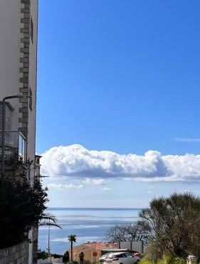 Orhid two bed rooms with pool apartment Becici one