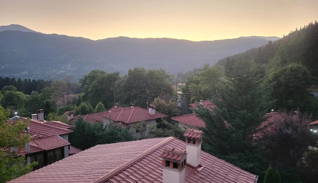 Panorama Elatis in Elati