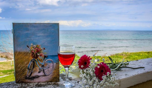 Pelagion Sea Coral - Beachfront holiday home