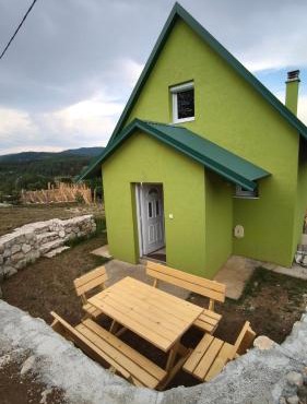 Pine in Žabljak
