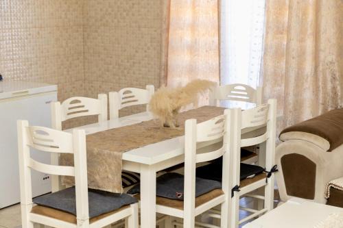 PrivatHomeUlcinj1