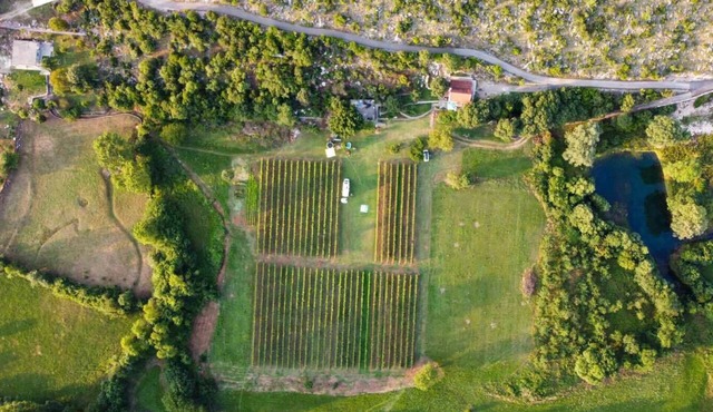 Purple Eye Estate - Camp & Winery (Jokaš)