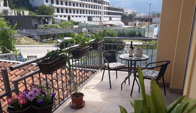 Radovic apartments
