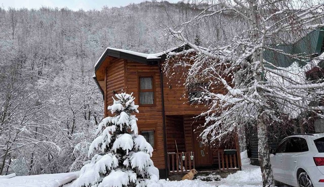 Rajsko Selo Exclusive Chalet in Kolasin