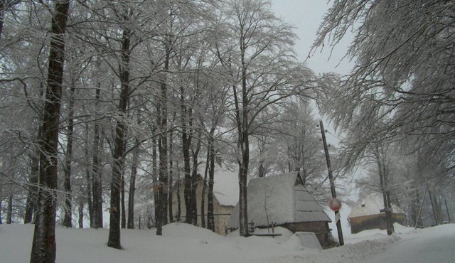 Remarkable 3-Bed House in Zabljak