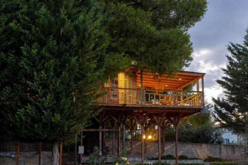 Sani Tree House in Sani Beach