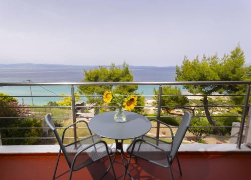 Sea View Apollo Apartments & Studios in Afytos in Afitos