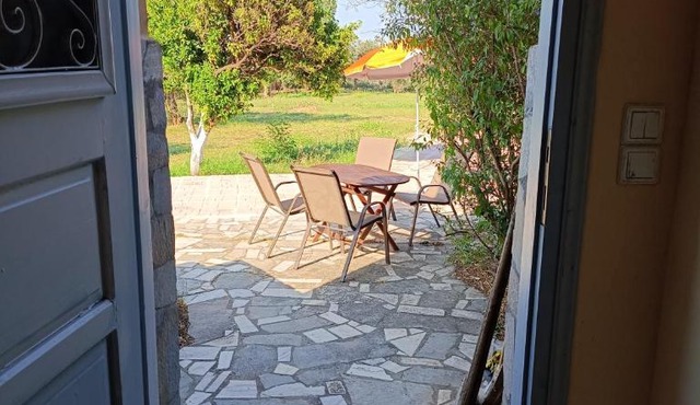 Seaside olive grove in Pyrgi Thermis