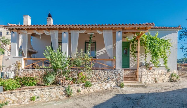 Sempreviva in Zakynthos