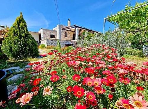 Sevi's Traditional House