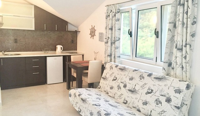 Spacious Studio Apartment close to the beach