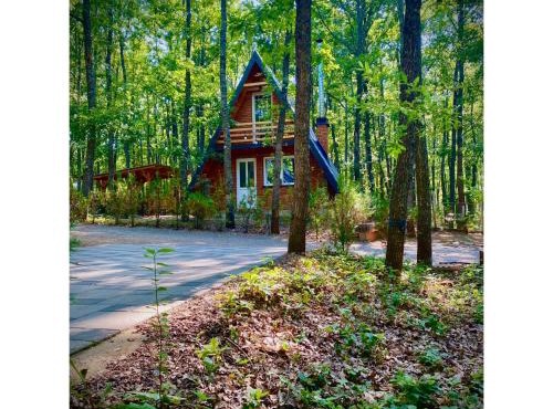 STANET Forest Houses in Novoberdo