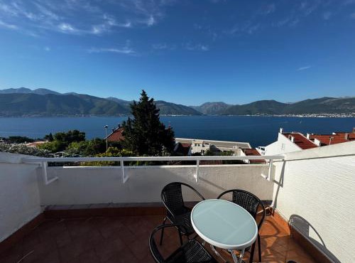 Stella View