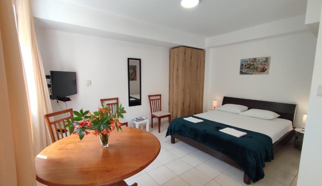 Studio Apartman Radimir