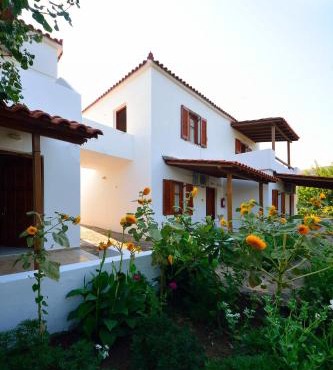 Studios Calvinos