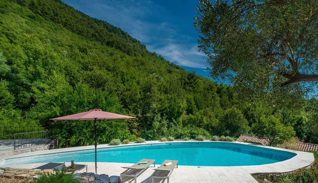 Tastefully Renovated Old Mill House With Private Pool And Large Garden in Przice