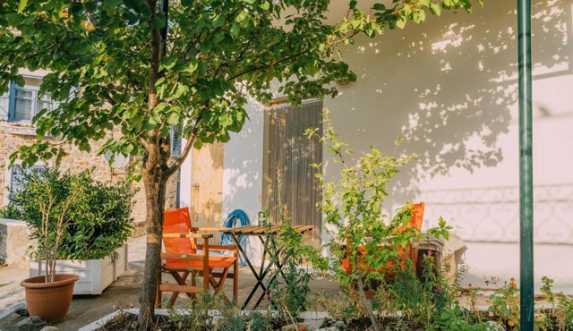 The apricot tree studio