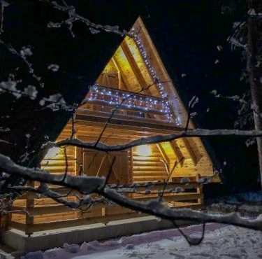 The Pine Forest Cottage