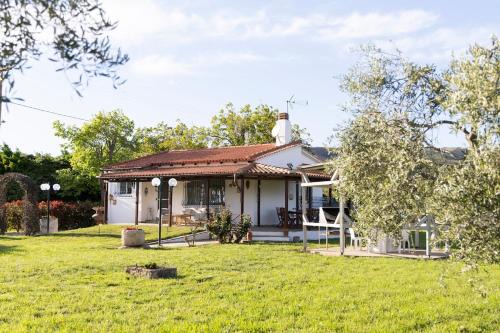 Theros, garden and sea