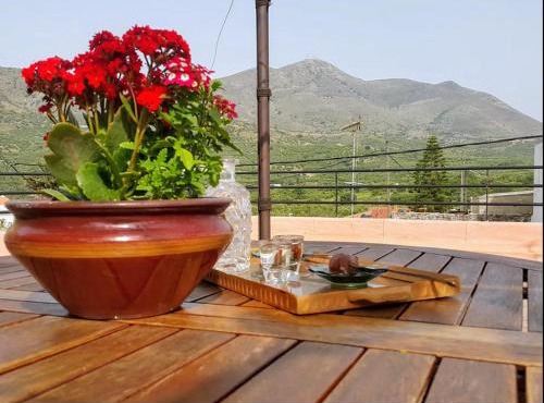 Traditional Residence with terrace in Latsídha