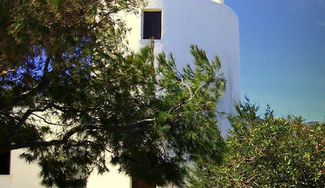 Traditional Windmill house