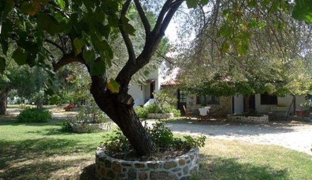 Traditionelles Appartement ATHOS SHADOW 2 am Meer