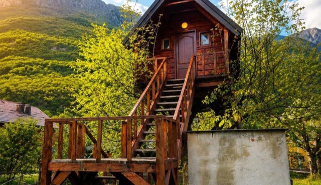 TreeHouse Experience