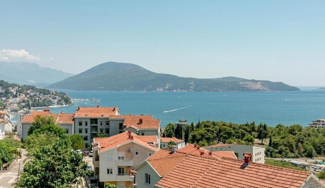 Vasic Apartments