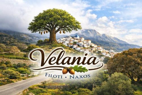 Velania House 2