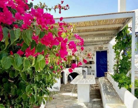 Villa Ambelas - Traditional House