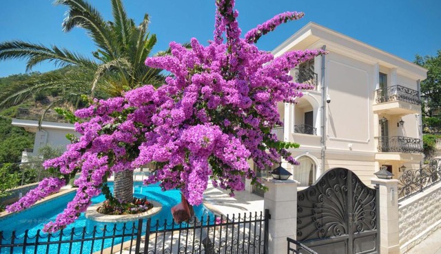 Villa St.George