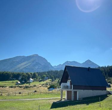 Village Moticki Gaj