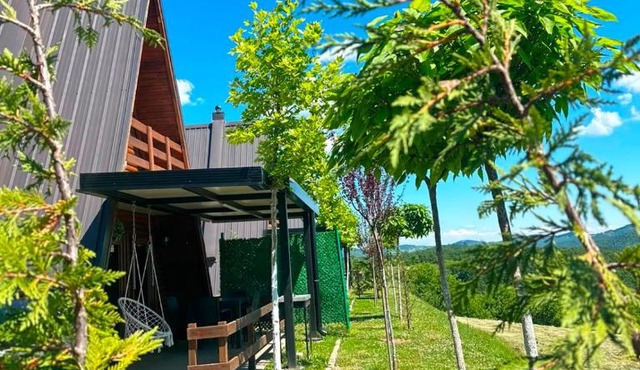 Villat Lisi in Prishtinë