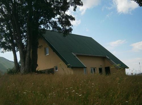 Wolf Apartment