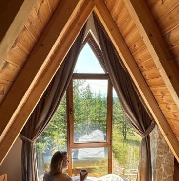 Wonderwood Cabin 2