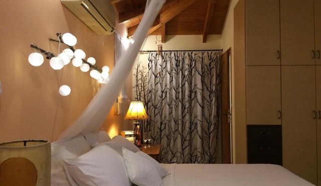 Wooden Roof Apartment
