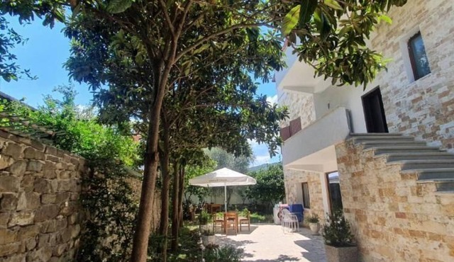 Xho's Forest Guest House
