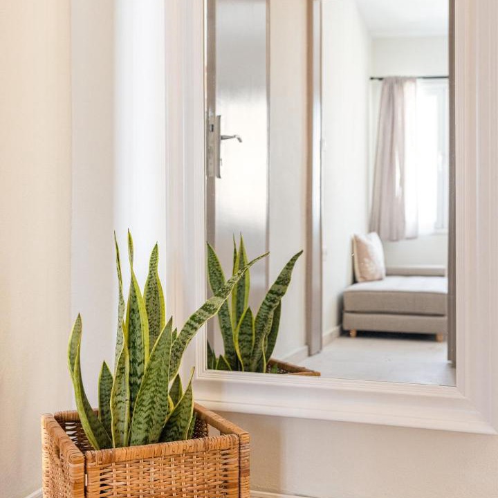 Pythagorio Apartment | Aesop Homes