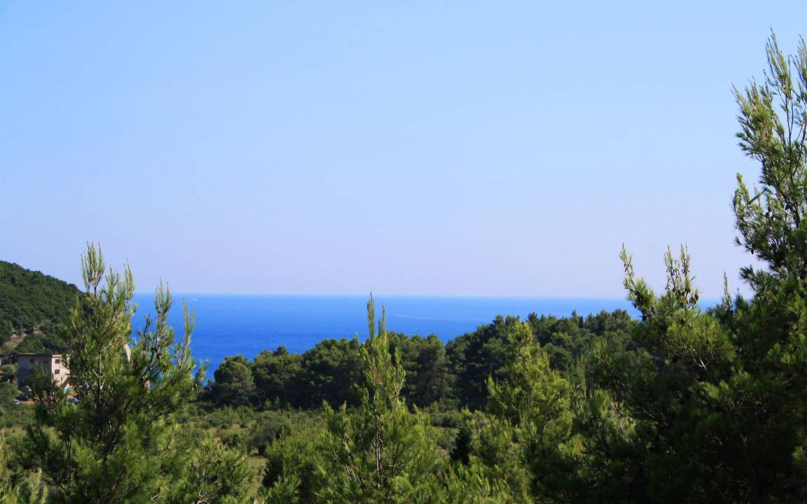 Photo of Others in Sutomore