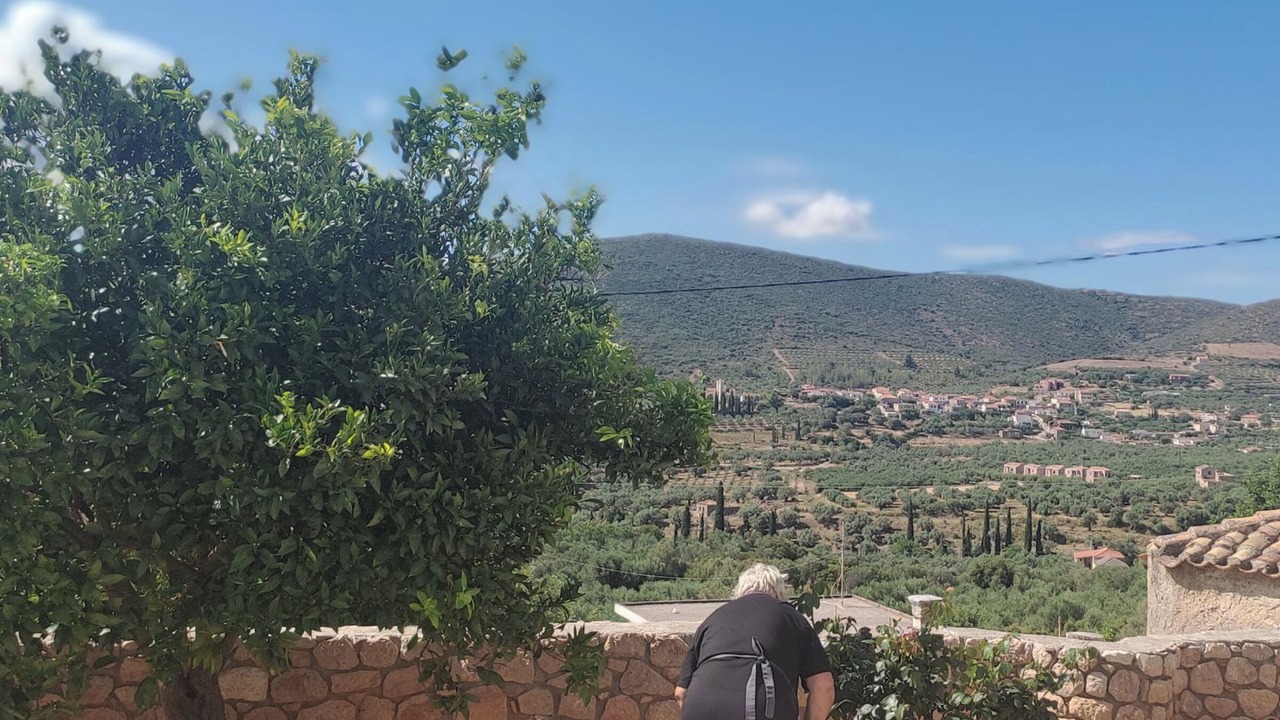 Photo of Others in Velies