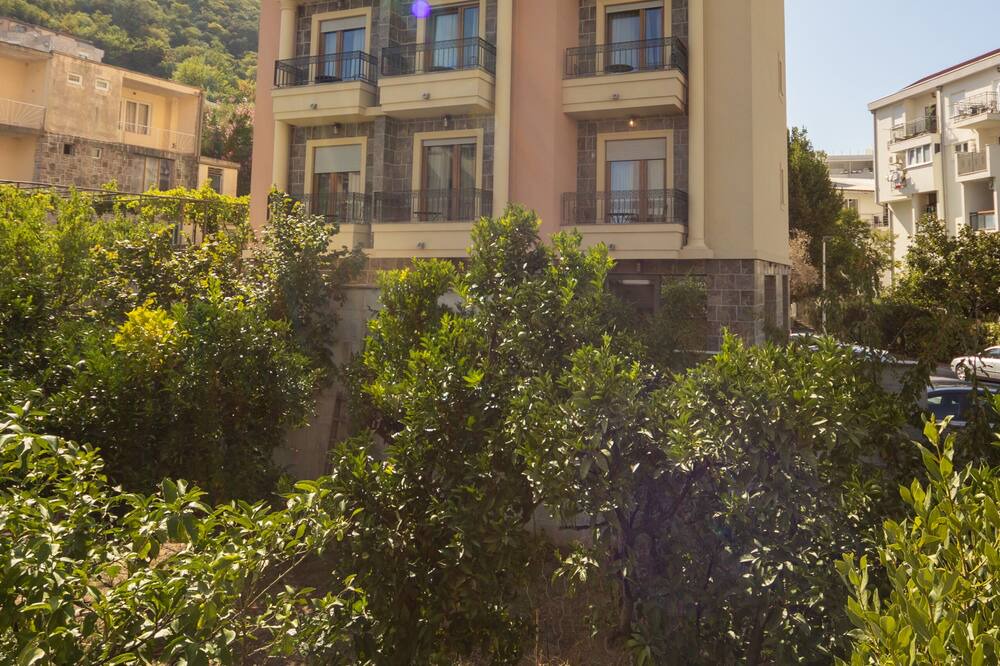 Photo of Outdoor in Golubovina