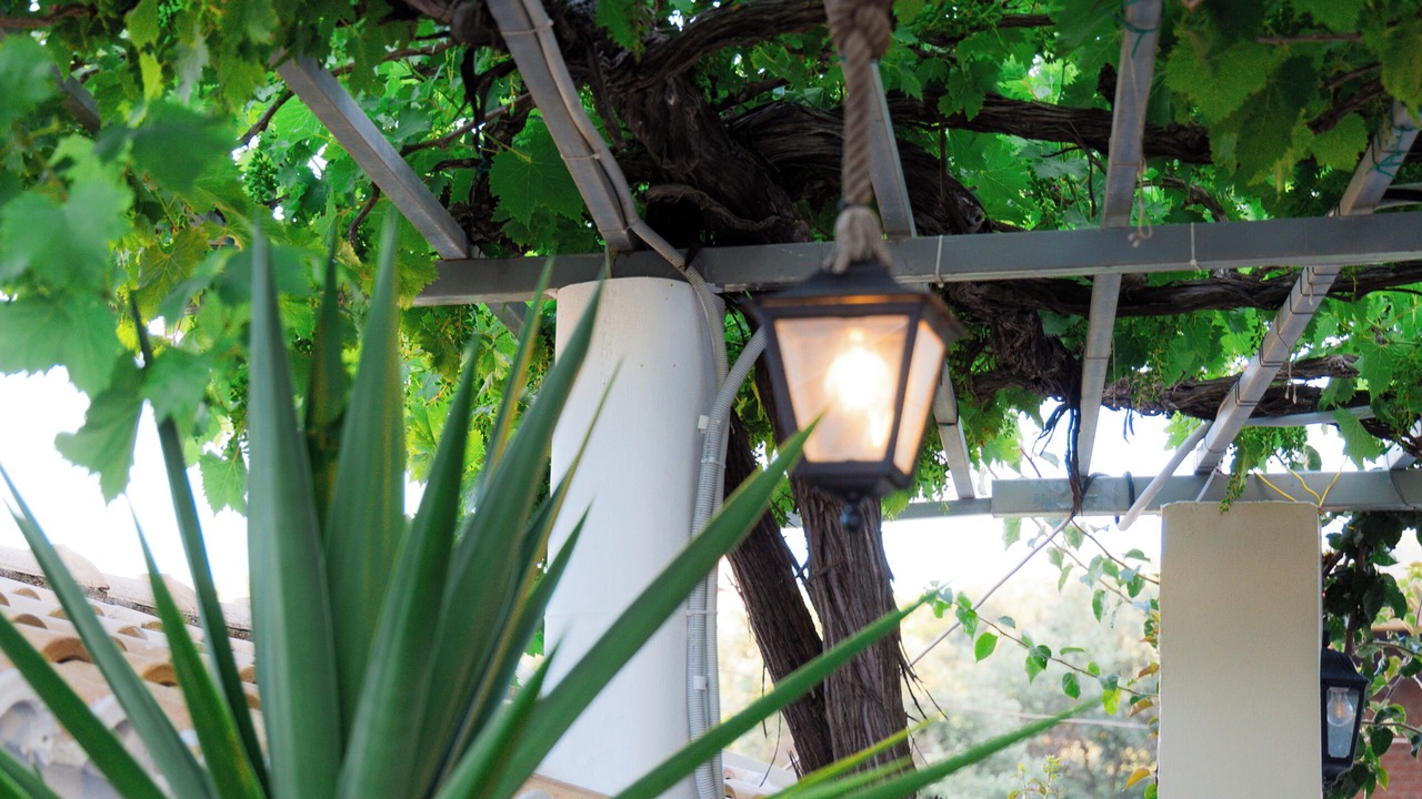 Photo of Others in Agios Stefanos Avliotes