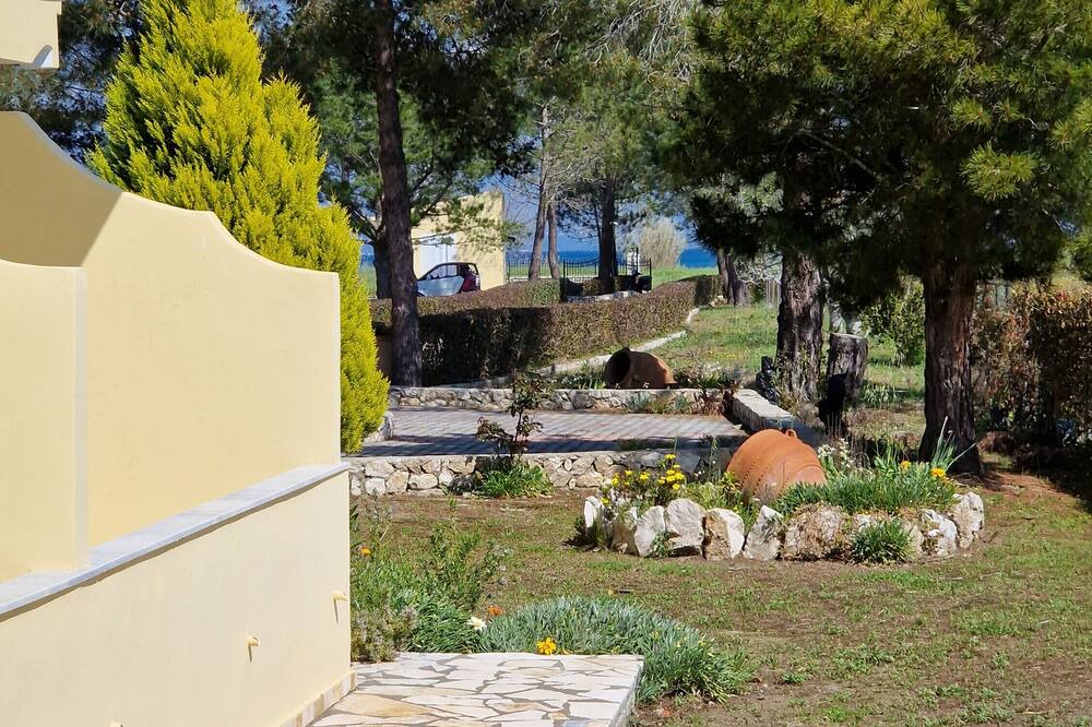 Photo of Outdoor in Melikia