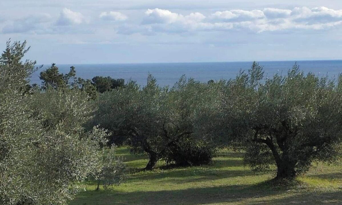 Photo of Others in Leptokaria