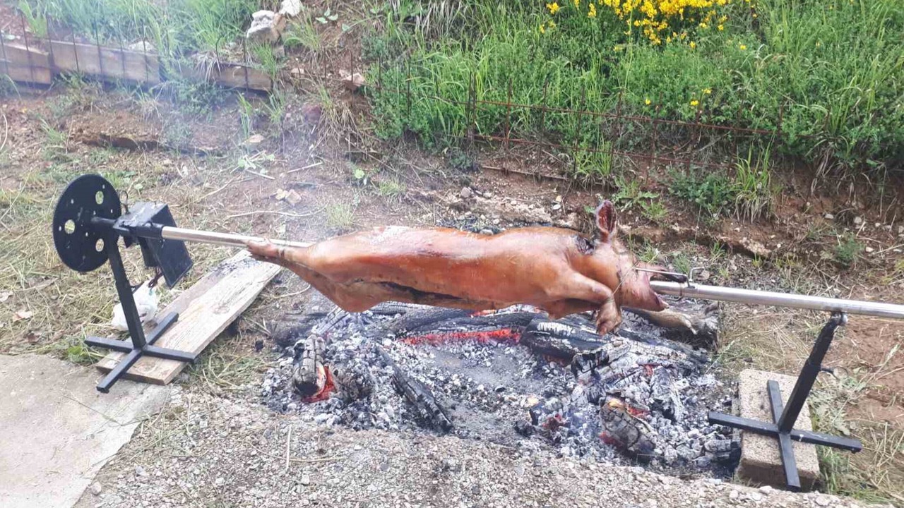 Photo of Others in Ninkovici